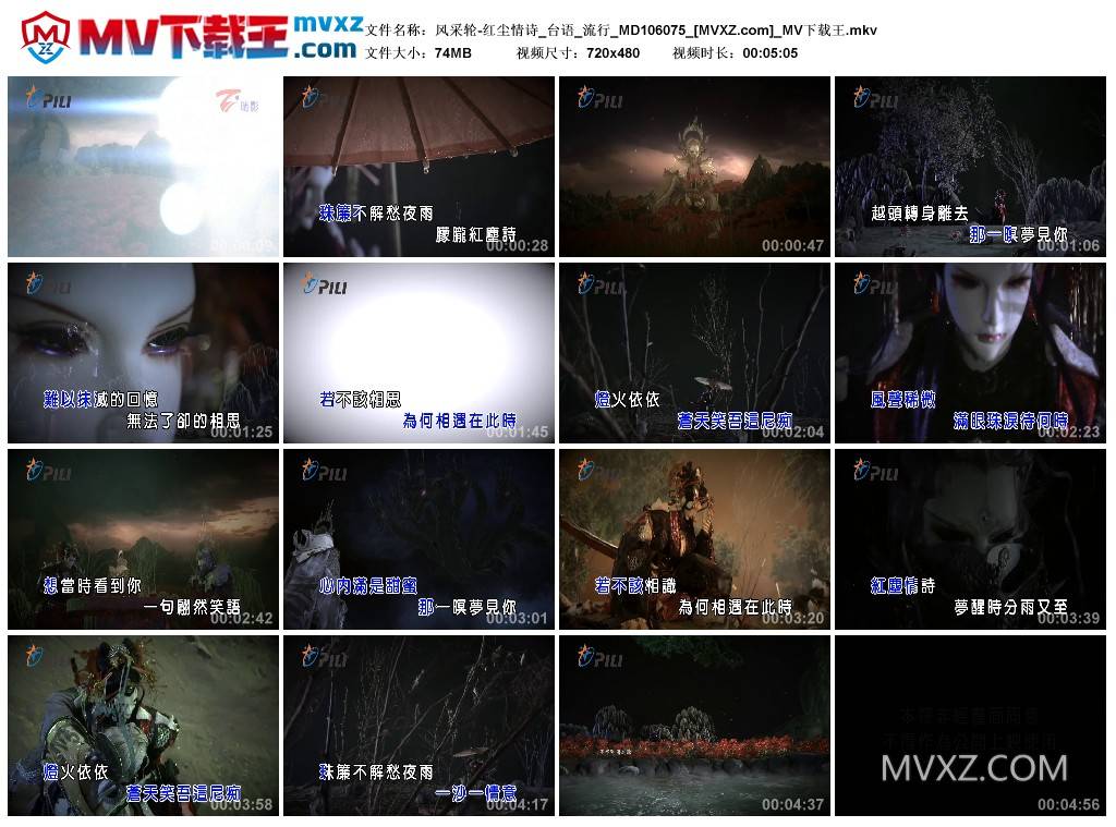 风采轮-红尘情诗_台语_流行_MD106075